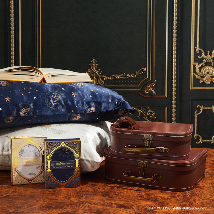 Pacote de colecionador Harry Potter x Kitsch King